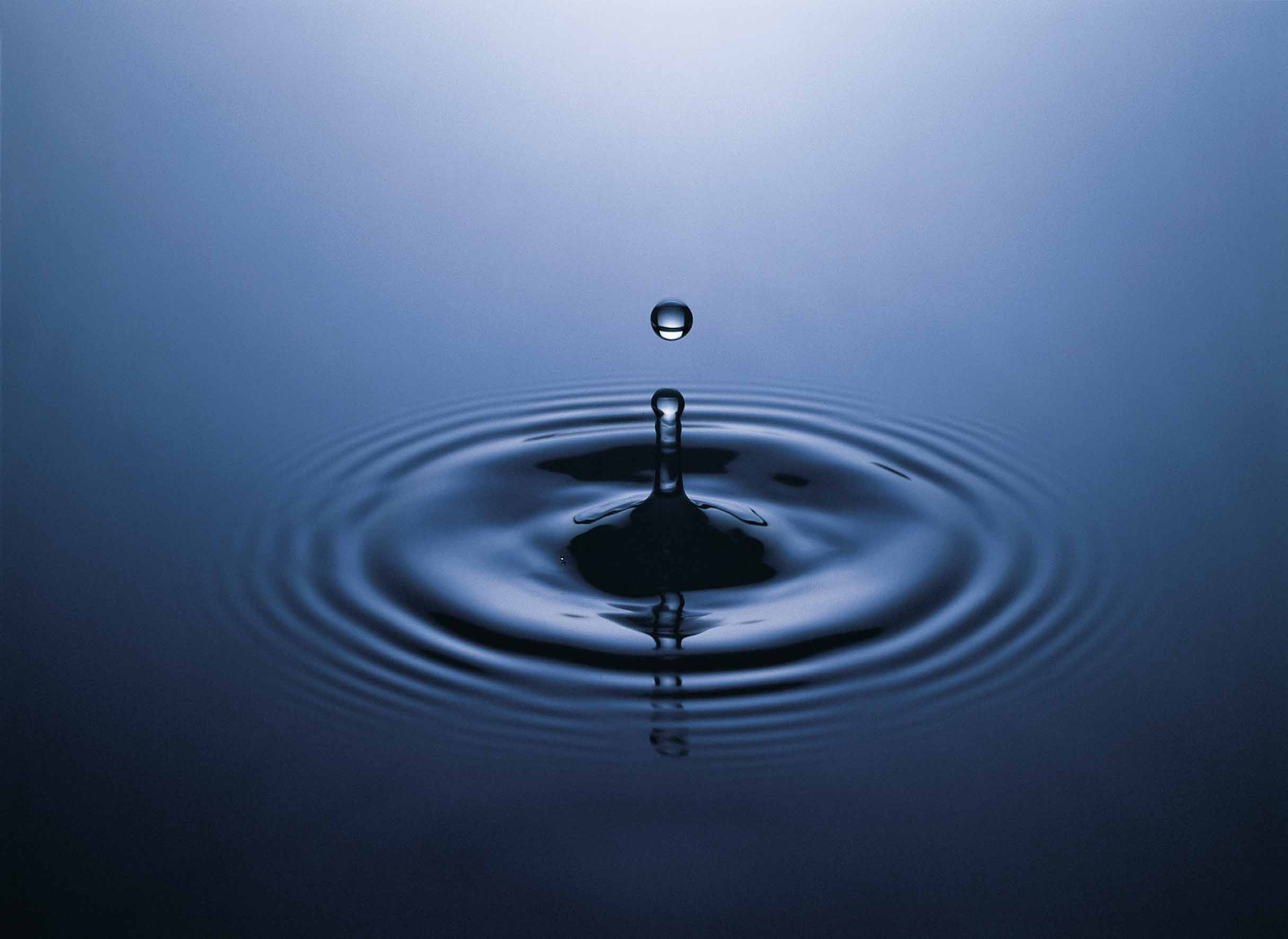 Water Drops Water Drops